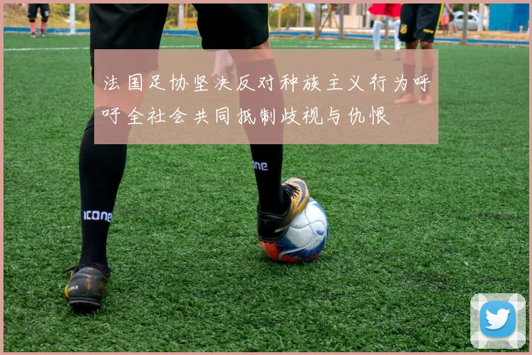 法国足协坚决反对种族主义行为呼吁全社会共同抵制歧视与仇恨